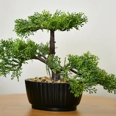 Apartment Noa Hrvace