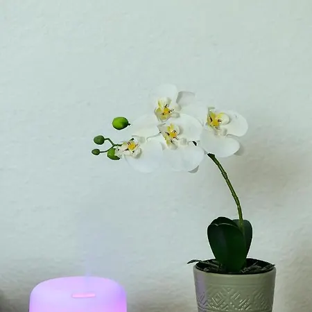 Apartment Noa *