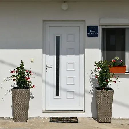 Apartment Noa